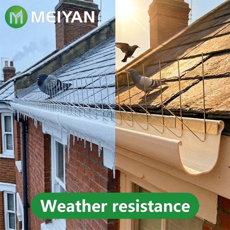 1 Best Gutter Bird Spikes for effective bird control