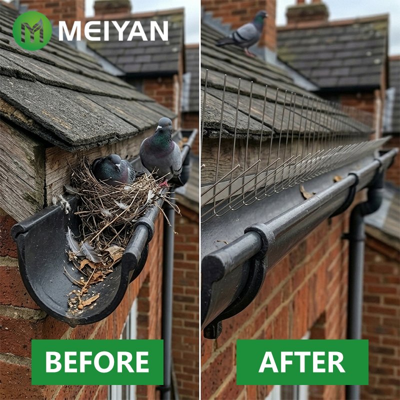 1 Best Gutter Bird Spikes for effective bird control